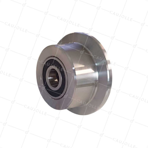 Rueda DE WAGON EN ACIER DIAMETRO 100 MM PARA RAILS DE 30 MM CARGA 500 KG EJE 20 MM - Rueda WAGON 100 • Caujolle