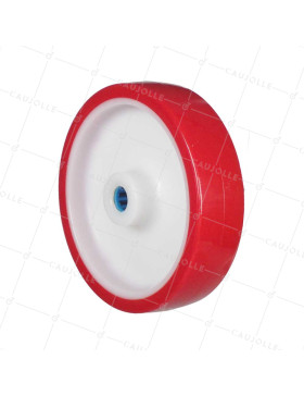 Rueda BI MATERIA NYLON POLIURETANO DIÁMETRO 200 MM CARGA 300 KG Cojinete A RODILLOS INOX 20 MM - S2450BP 200/50 LM58 RR INOX 20 • Caujolle