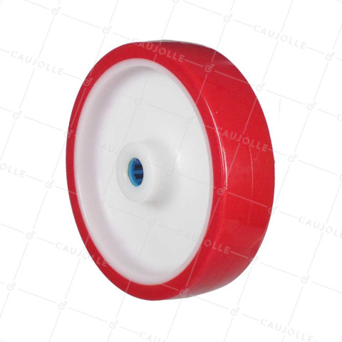 Rueda BI MATERIA NYLON POLIURETANO DIÁMETRO 200 MM CARGA 300 KG Cojinete A RODILLOS INOX 20 MM - S2450BP 200/50 LM58 RR INOX 20 • Caujolle