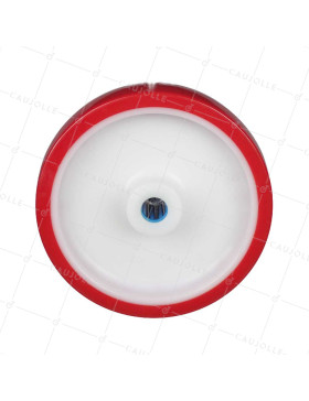 Rueda BI MATERIA NYLON POLIURETANO DIÁMETRO 200 MM CARGA 300 KG Cojinete A ROLLOS INOX 20 MM - S2450BP 200/50 LM58 RR INOX 2