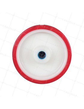 Rueda BI MATERIA NYLON POLIURETANO DIÁMETRO 160 MM CARGA 300 KG Cojinete A RODILLOS INOX 20 MM - S2450BP 160/40 LM58 RR INOX 20