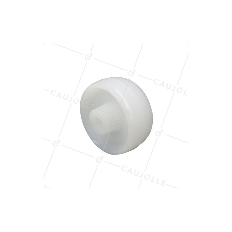 GALET NYLON DIAMÈTRE 50MM