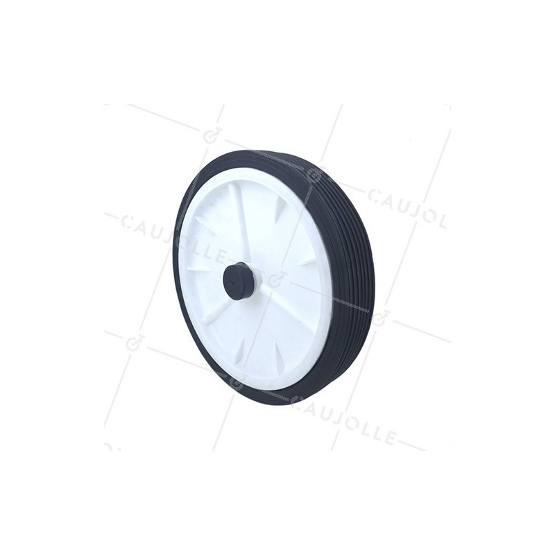 ROUE DE TONDEUSE DIAMÈTRE 250 MM AXE 12 MM