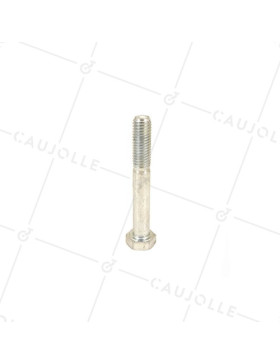 BOULON DIAMÈTRE 10MM LONGUEUR 65MM