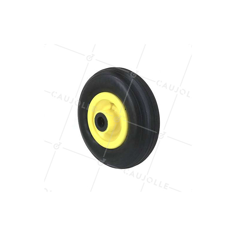 Roue increvable de diamètre 200 mm axe 20 mm