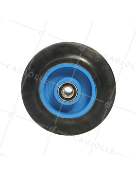 ROUE EN FONTE BANDAGE SOUPLE DIAMÈTRE 125MM AXE 20MM S2750F125/50
