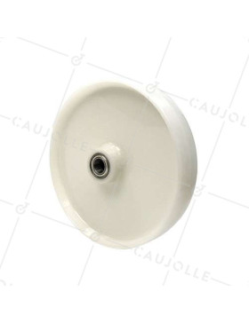 RUEDA DE NAILON CON DIÁMETRO DE 300 MM, CARGA DE 1000 KG, EJE DE 25 MM Y RODAMIENTO DE BOLAS - S2450 300 RB25 • Caujolle
