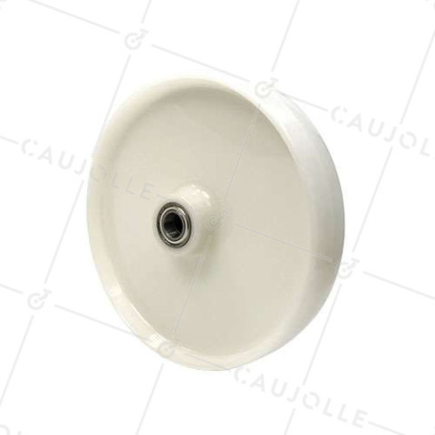 RUEDA DE NAILON CON DIÁMETRO DE 300 MM, CARGA DE 1000 KG, EJE DE 25 MM Y RODAMIENTO DE BOLAS - S2450 300 RB25 • Caujolle