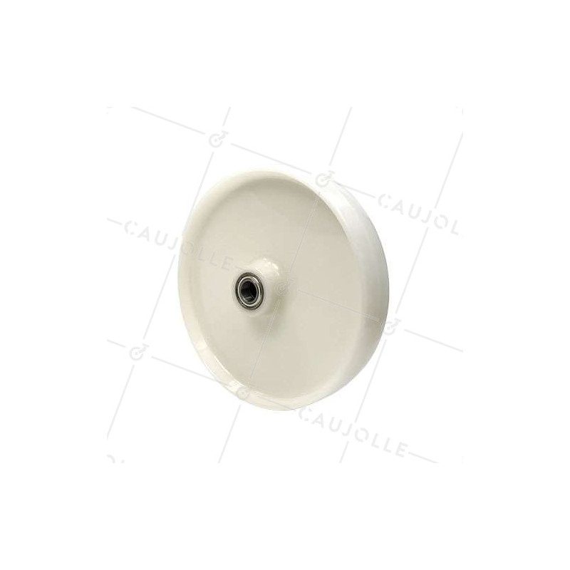 ROUE NYLON DIAMÈTRE 300 MM AVEC ROULEMENT À BILLES AXE 25 - S2450 300 RB25