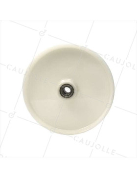 ROUE NYLON DIAMÈTRE 300 MM AVEC ROULEMENT À BILLES AXE 25 - S2450 300 RB25