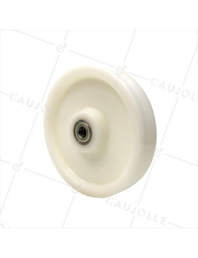 RUEDA DE NAILON REFORZADO CON DIÁMETRO DE 250 MM, CARGA DE 1500 KG, EJE DE 20 MM Y RODAMIENTO DE BOLAS - S2480 250 RB20 • Caujolle