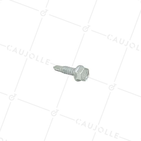 TORNILLO AUTOPERFORADOR PARA RUEDAS 6 MM DE DIÁMETRO 25 MM DE LARGO • Caujolle