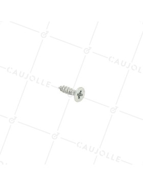 TORNILLO PARA MADERA DE ZINC PARA RUEDAS DE 5 MM DE DIÁMETRO Y 20 MM DE LARGO • Caujolle
