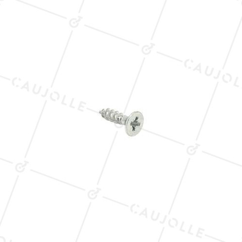 TORNILLO PARA MADERA DE ZINC PARA RUEDAS DE 5 MM DE DIÁMETRO Y 20 MM DE LARGO • Caujolle