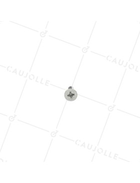 VIS À BOIS ZINGUÉE DIAMÈTRE 5 MM LONGUEUR 20 MM