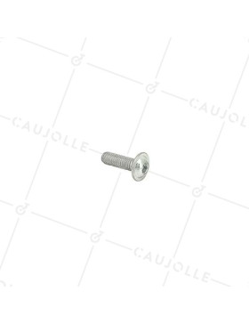 TORNILLO PARA METAL CON CABEZA ABOMBADA BASE Y AGUJERO HEXAGONAL DE 6 MM DE DIÁMETRO Y 20 MM DE LARGO • Caujolle