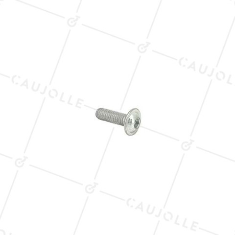 TORNILLO PARA METAL CON CABEZA ABOMBADA BASE Y AGUJERO HEXAGONAL DE 6 MM DE DIÁMETRO Y 20 MM DE LARGO • Caujolle