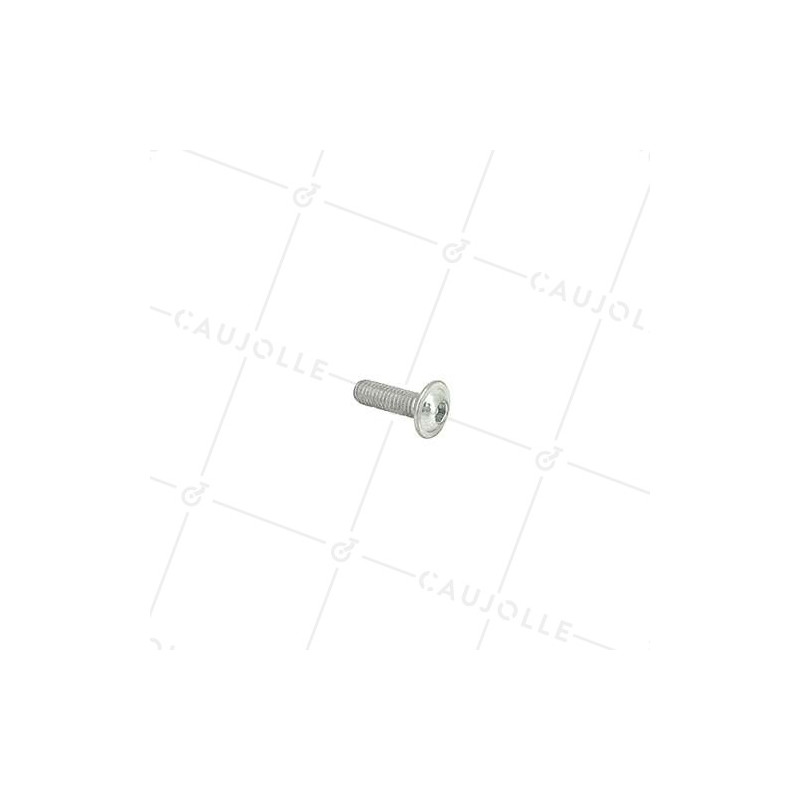 VIS À MÉTAUX À TÊTE BOMBÉE SIX PANS CREUX À EMBASE DIAMÈTRE 6 MM LONGUEUR 20 MM