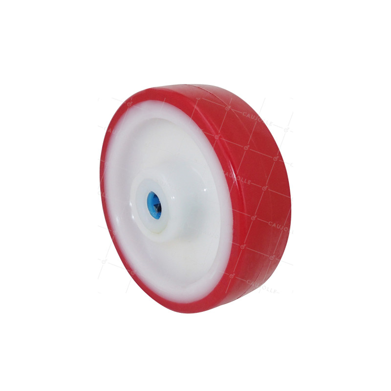 Rueda DE REFUGIO DE PISCINA NYLON POLIURETANO DIÁMETRO 100 MM CARGA 120 KG EJE 12 MM Cojinete INOX - S2450BP 100 RR INOX 12