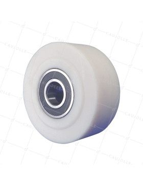 Rueda NYLON CARGA EXTREMA DIÁMETRO 200 MM CARGA 4500 KG PARA EJE DE 45MM - S2490 200X80 RB45 • Caujolle