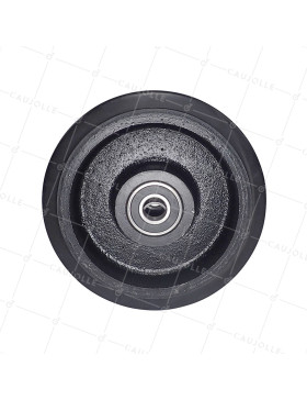 RUEDA DE HIERRO FUNDIDO CON BANDAJE FLEXIBLE, DIÁMETRO DE 250 MM, CARGA DE 600 KG, EJE DE 30 MM - S2750F250