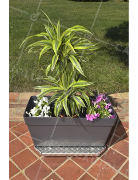 PORTE POTS A Rotantes XXL 60X40X7CM CARGA 120 KG - JARDI GROOVE 60
