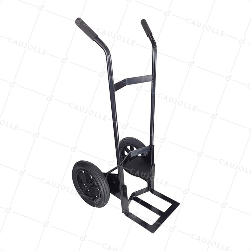 Carretilla de mano XXL S605DP 360 R20/74