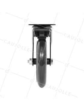 Rotante TRANSPARENTE A Placa CON FRENO Cojinete DE BOLAS DIÁMETRO 125 MM CARGA 40 KG - BLACKROL 125PAF