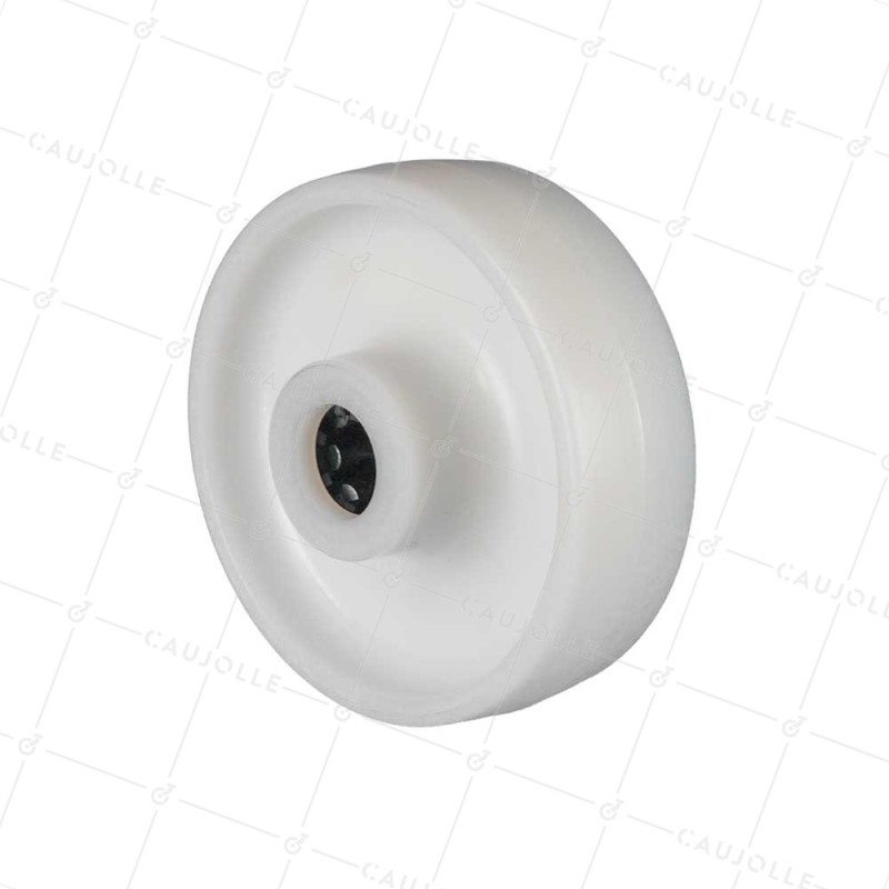 Rueda NYLON DIÁMETRO 125 MM CARGA 300 KG EJE 20 MM RODILLOS - S2450 125/40 LM60 RR20
