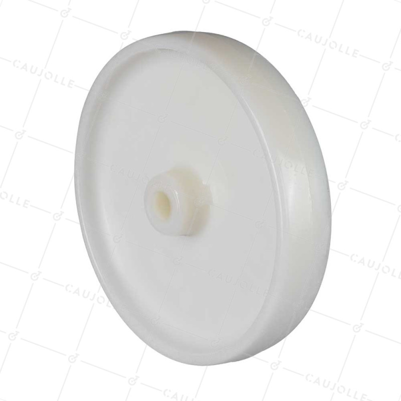 Rueda NYLON DIÁMETRO 250 MM CARGA 600 KG EJE 20 MM LISO - S2450 250/49 LM60 L20