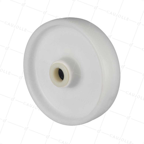 Rueda NYLON DIÁMETRO 200 MM CARGA 200 KG EJE 25 MM Cojinete A RODILLOS - S2450 200/49 LM60 RR25 • Caujolle