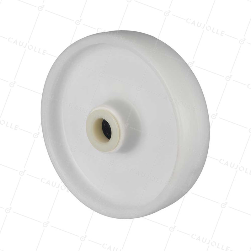 Rueda NYLON DIÁMETRO 200 MM CARGA 200 KG EJE 25 MM Cojinete A RODILLOS - S2450 200/49 LM60 RR25