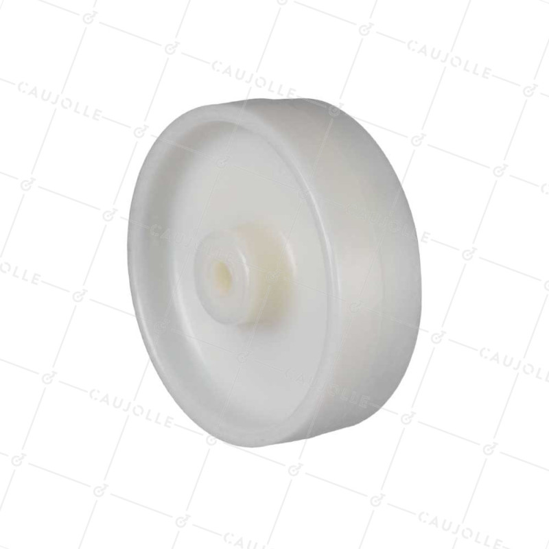 Rueda NYLON REFORZADO CARGA FUERTE DIÁMETRO 250 MM CARGA 250 KG EJE 12 MM LISO - S2450 125R/40 LM45 L12