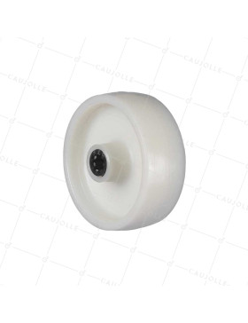 Rueda DE NYLON REFORZADO DIÁMETRO 100 MM CARGA 100 KG EJE 12 MM Y Cojinete A RODILLOS - S2450 100/37 LM46 RR12 • Caujolle