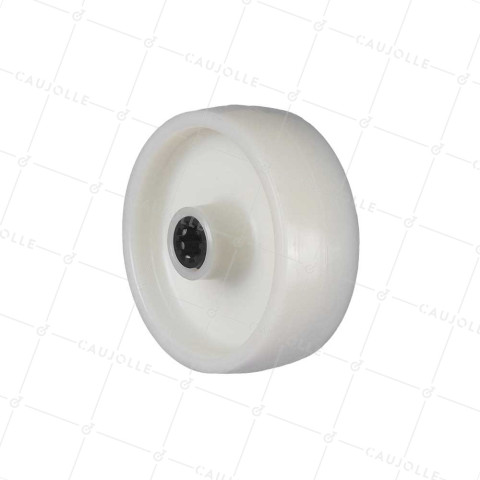 Rueda DE NYLON REFORZADO DIÁMETRO 100 MM CARGA 100 KG EJE 12 MM Y Cojinete A RODILLOS - S2450 100/37 LM46 RR12 • Caujolle