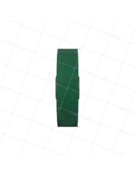 Rueda DE ENTRENAMIENTO A CLAVETER EN POLIURETANO SUAVE DIÁMETRO 250/50 MM CARGA 1100KG - SFPU SUAVE 250/50 A CLAVETER VERDE A25